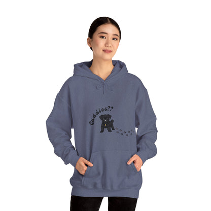 Comfy Cuddles Hoodie